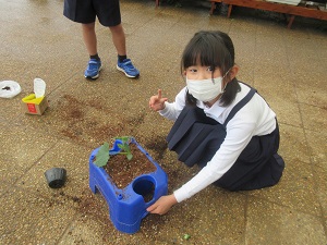 IMG_0617 IMG_0617