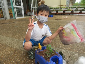 IMG_0619 IMG_0619