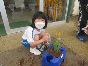 IMG_0621 IMG_0621