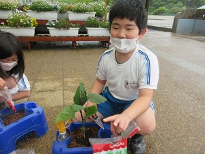 IMG_0624 IMG_0624