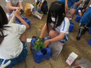 IMG_0625 IMG_0625