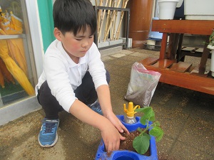 IMG_0627 IMG_0627