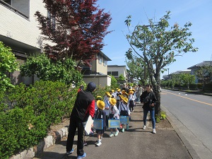 IMG_0633 IMG_0633