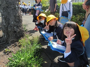IMG_0643 IMG_0643