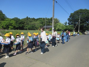 IMG_0689 IMG_0689