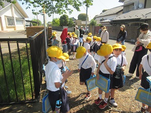 IMG_0704 IMG_0704