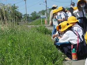 IMG_0707 IMG_0707