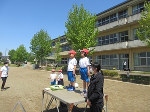 IMG_0708 IMG_0708
