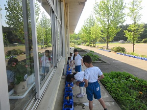 IMG_0723 IMG_0723