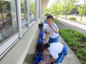 IMG_0720 IMG_0720