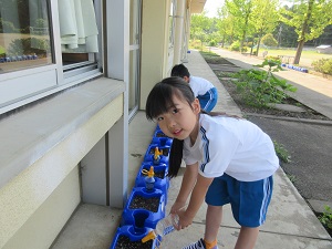IMG_0722 IMG_0722