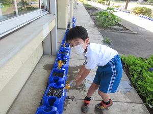 IMG_0724 IMG_0724