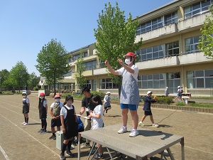 IMG_0764 IMG_0764