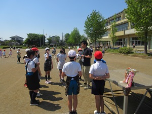 IMG_0766 IMG_0766