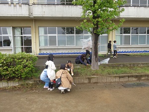 IMG_0771 IMG_0771