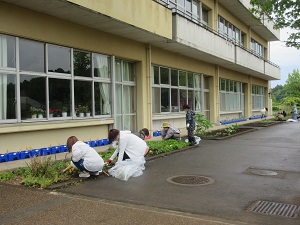 IMG_0772 IMG_0772