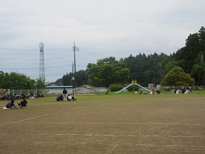 IMG_0773 IMG_0773