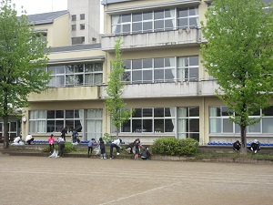 IMG_0774 IMG_0774