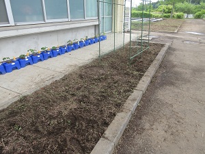 IMG_0780 IMG_0780