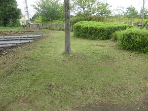 IMG_0782 IMG_0782