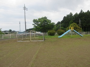IMG_0784 IMG_0784