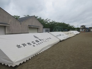 IMG_0786 IMG_0786