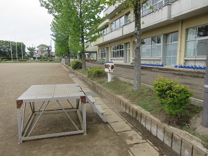 IMG_0788 IMG_0788