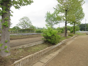 IMG_0789 IMG_0789