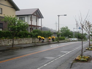 IMG_0791 IMG_0791