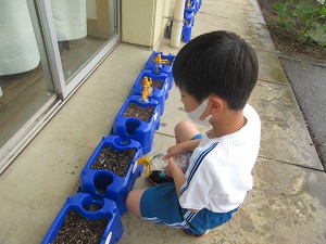 IMG_0792 IMG_0792