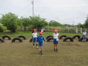 IMG_0799 IMG_0799