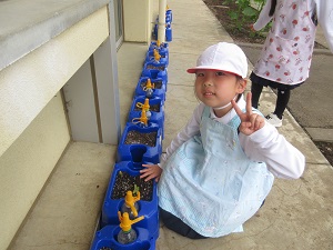 IMG_0801 IMG_0801