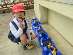 IMG_0803 IMG_0803