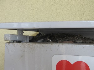 IMG_0805 IMG_0805