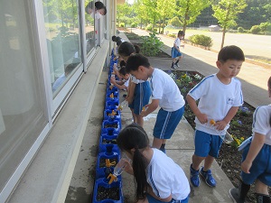IMG_0813 IMG_0813