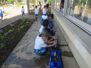 IMG_0814 IMG_0814