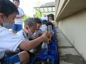 IMG_0815 IMG_0815