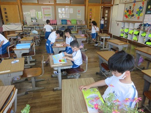 IMG_0817 IMG_0817