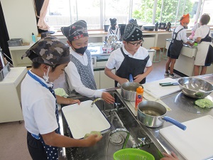 IMG_0856 IMG_0856