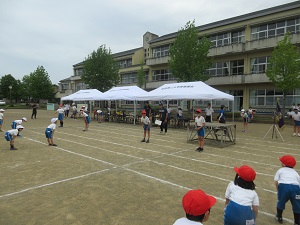 IMG_0923 IMG_0923