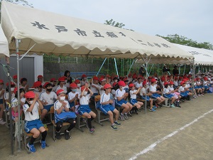 IMG_0929 IMG_0929