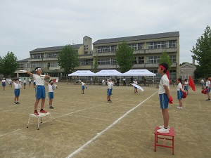IMG_0931 IMG_0931