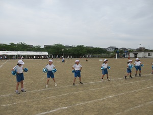 IMG_0933 IMG_0933