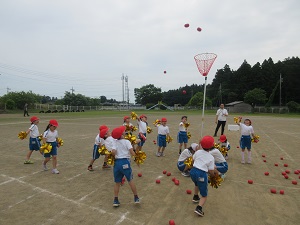 IMG_0935 IMG_0935