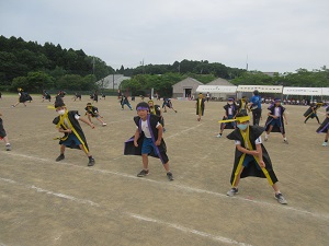IMG_0943 IMG_0943