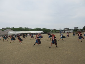 IMG_0944 IMG_0944