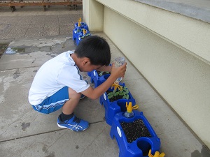 IMG_0949 IMG_0949