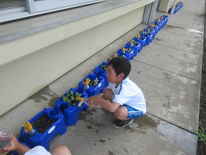 IMG_0951 IMG_0951