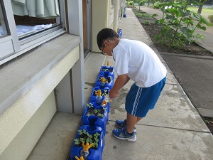 IMG_0952 IMG_0952