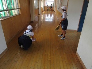 IMG_0955 IMG_0955
